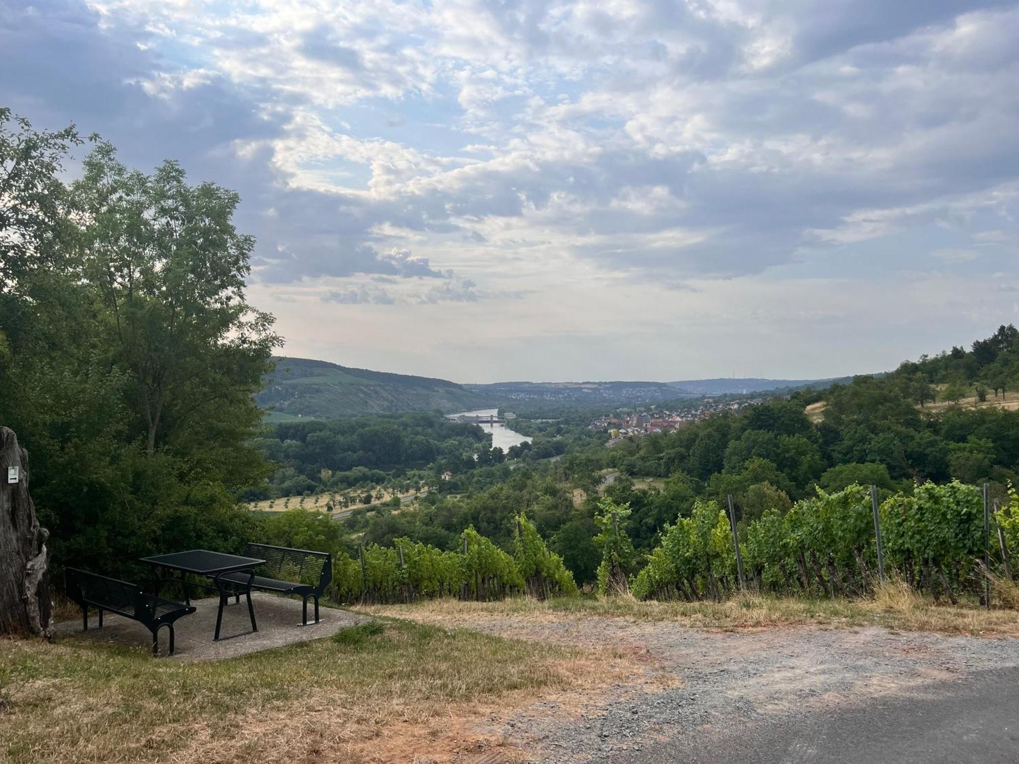 Вілла Ferienhaus Weinbergblick - Nahe Wuerzburg - 2 Schlafzimmer - Familienfreundlich - Terrasse Unterleinach Екстер'єр фото