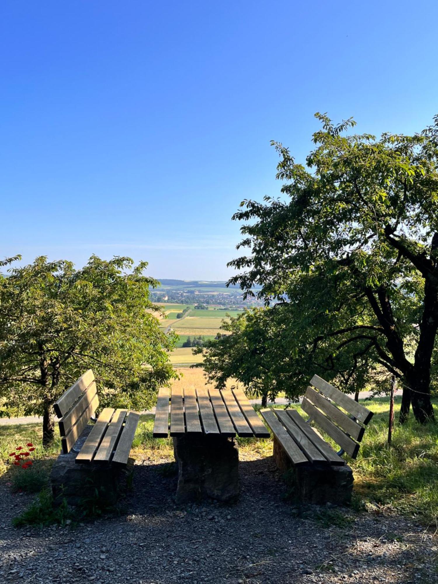 Вілла Ferienhaus Weinbergblick - Nahe Wuerzburg - 2 Schlafzimmer - Familienfreundlich - Terrasse Unterleinach Екстер'єр фото