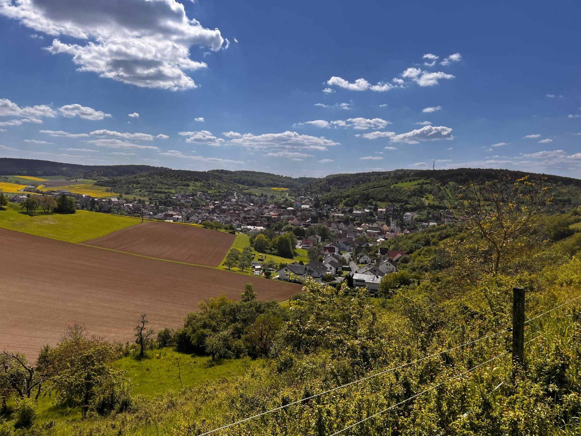 Вілла Ferienhaus Weinbergblick - Nahe Wuerzburg - 2 Schlafzimmer - Familienfreundlich - Terrasse Unterleinach Екстер'єр фото