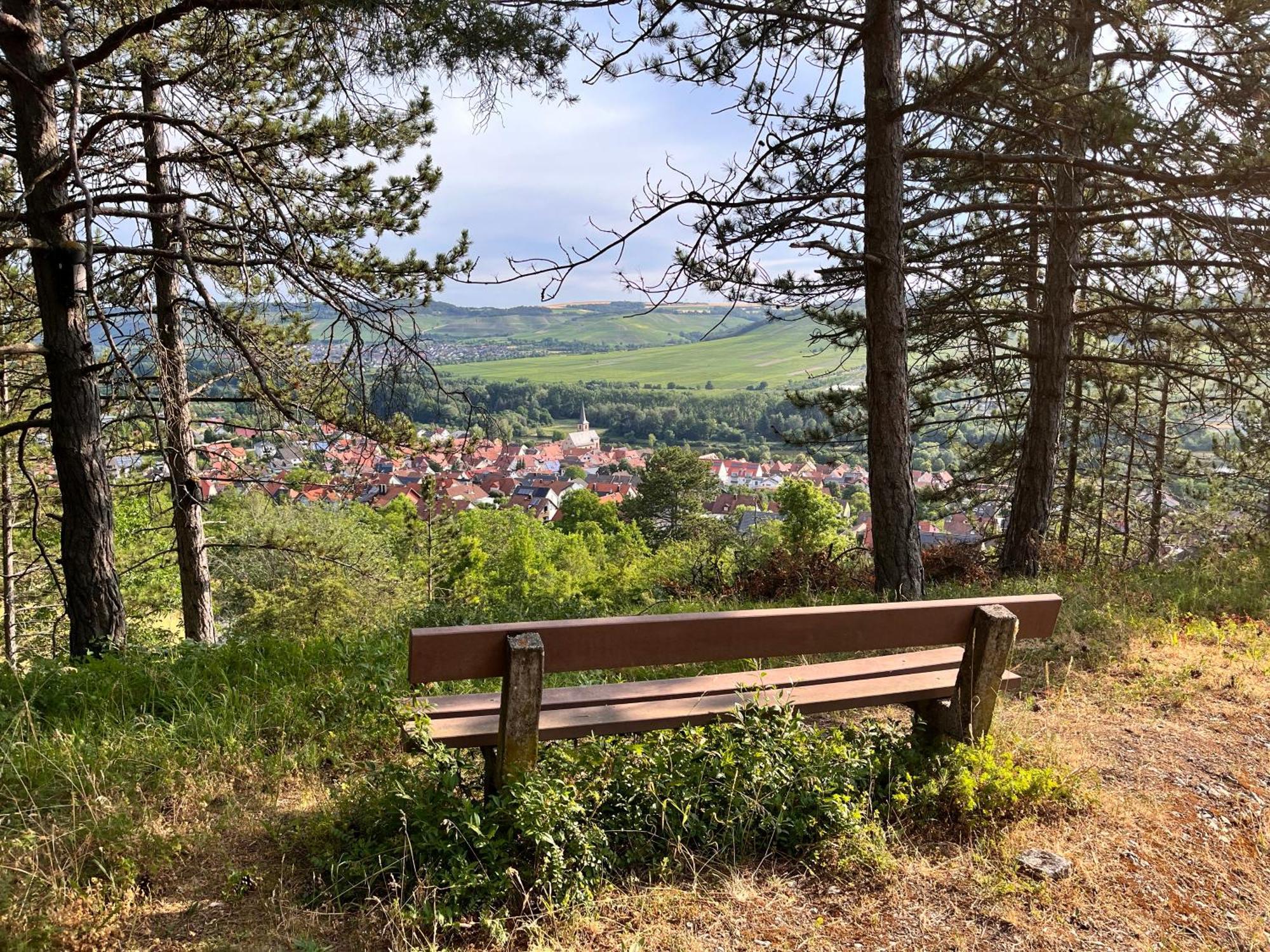 Вілла Ferienhaus Weinbergblick - Nahe Wuerzburg - 2 Schlafzimmer - Familienfreundlich - Terrasse Unterleinach Екстер'єр фото