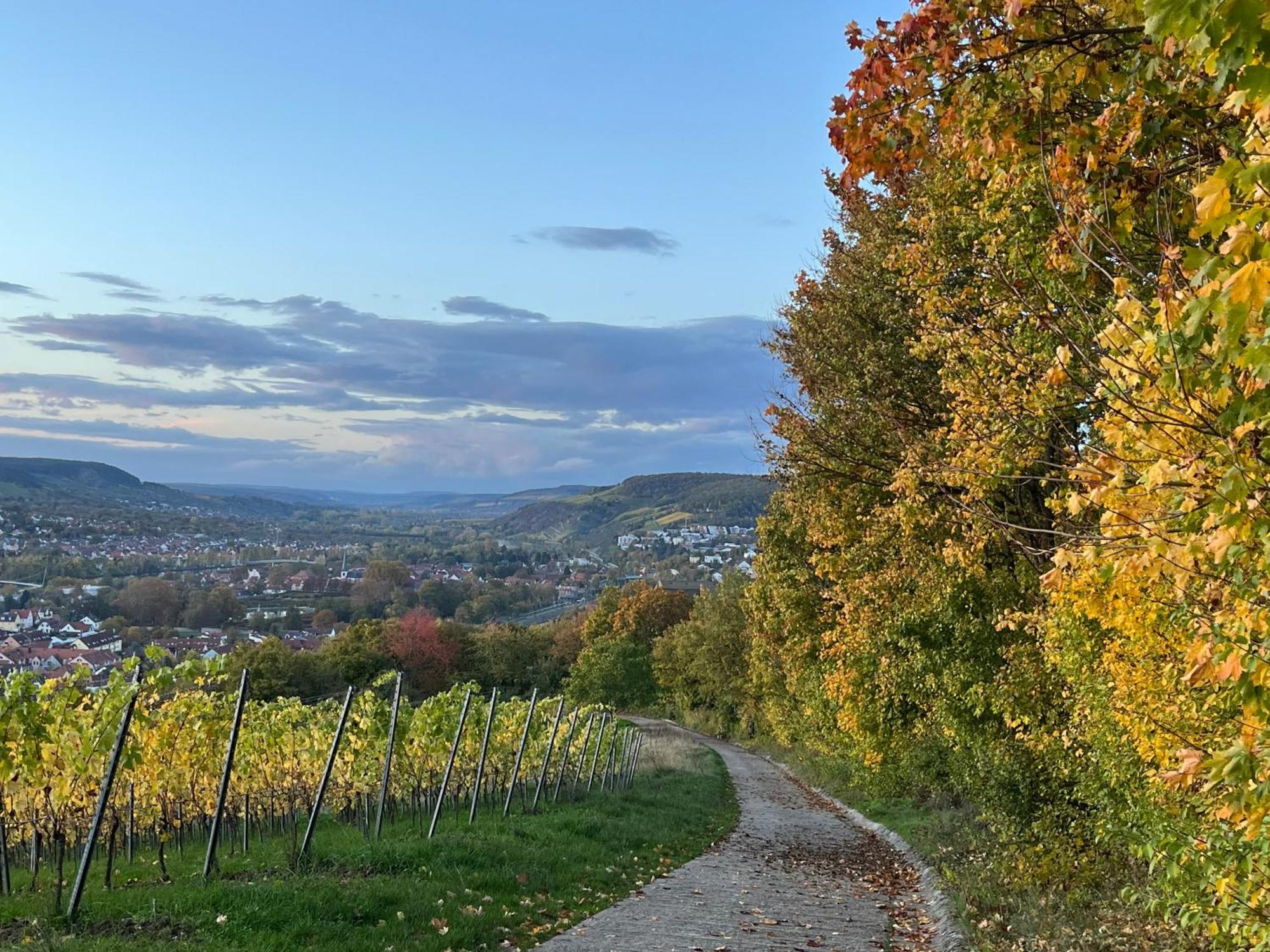 Вілла Ferienhaus Weinbergblick - Nahe Wuerzburg - 2 Schlafzimmer - Familienfreundlich - Terrasse Unterleinach Екстер'єр фото